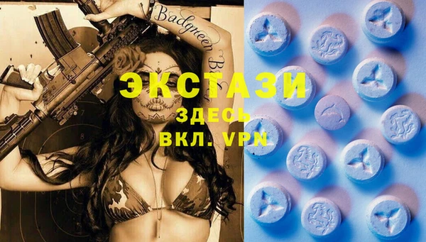 прущие грибы Аркадак