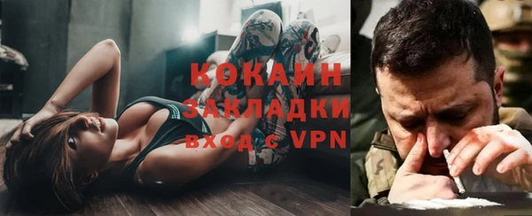 стаф Арсеньев