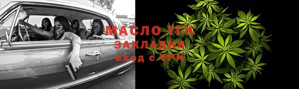 стаф Арсеньев