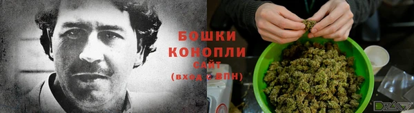 прущие грибы Аркадак