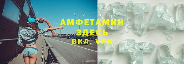 стаф Арсеньев