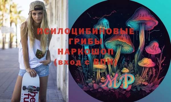 стафф Армянск