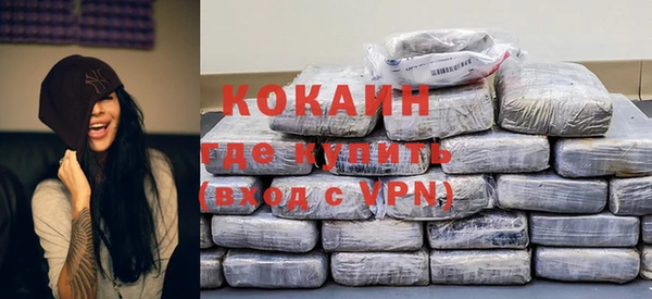 стаф Арсеньев