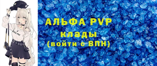прущие грибы Аркадак