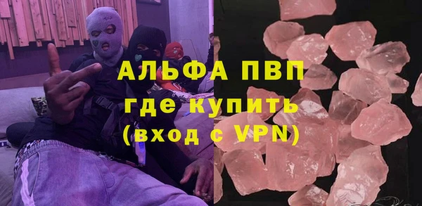 прущие грибы Аркадак